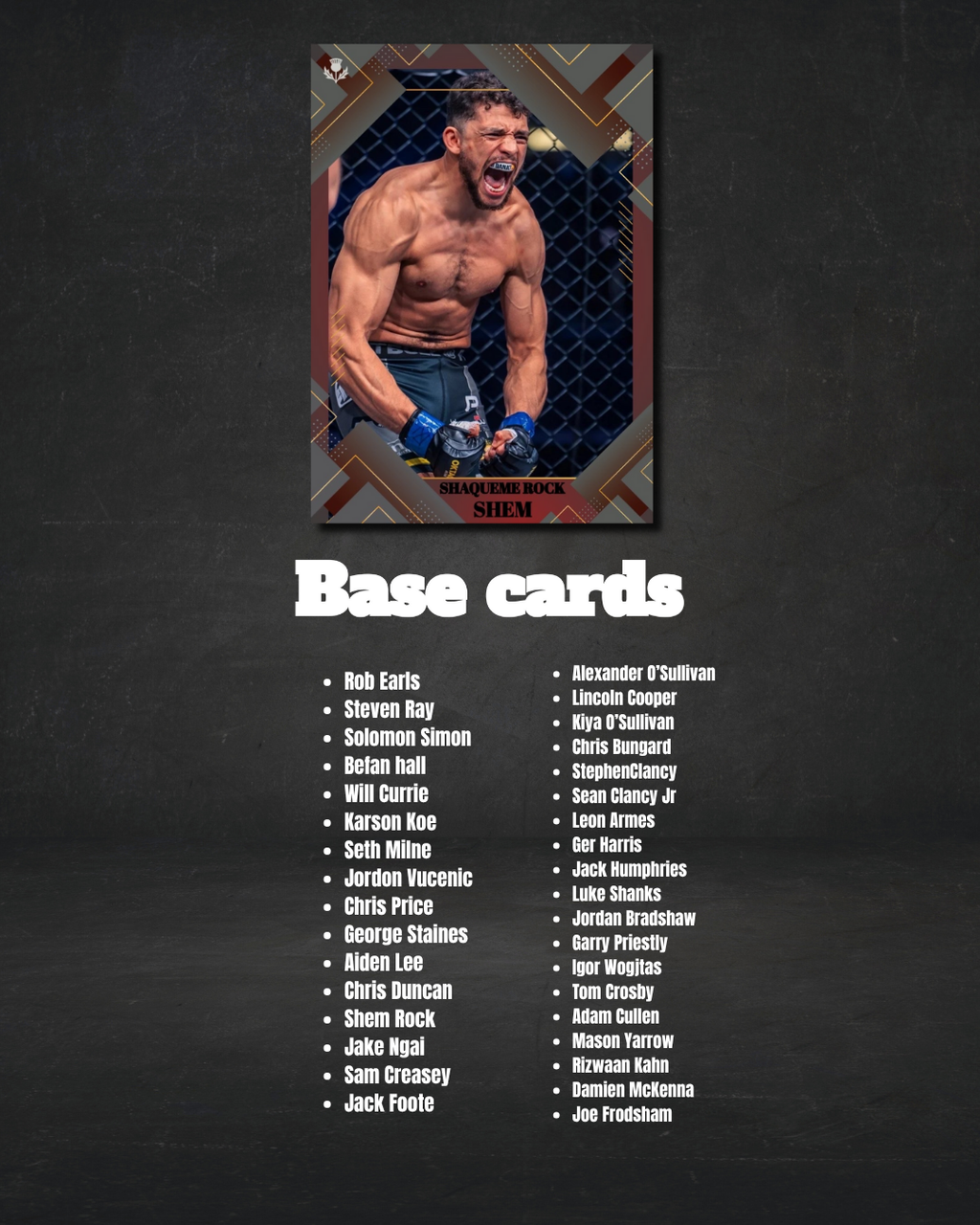 PRE-ORDER - TNI FIGHT VAULT - BEST IN BRITAIN & IRELAND -